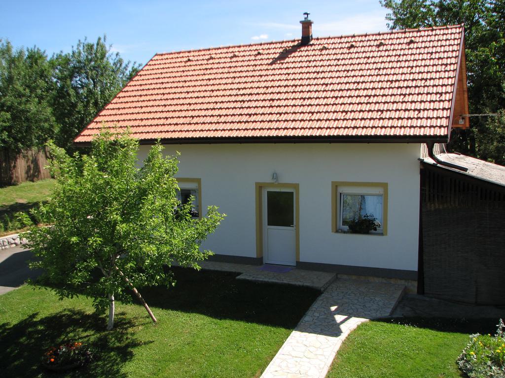 Apartment Ilija Раковица Экстерьер фото
